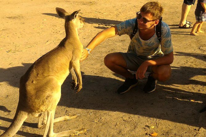 Scooter Wildlife & Sunset Tour - FAQ