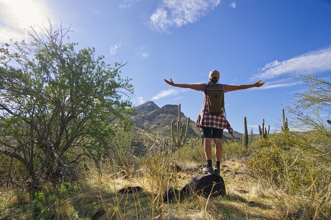 Scottsdale Desert Classic Guided Hiking Adventure - An Inside Look at the Scottsdale Desert Classic Guided Hiking Adventure
