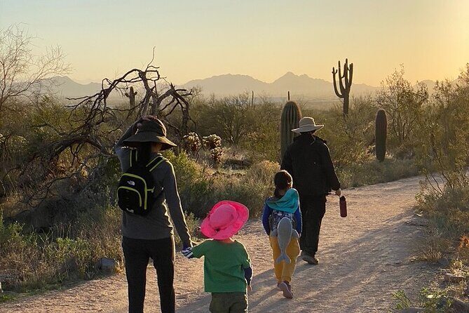 Scottsdale Desert Classic Guided Hiking Adventure - The Value of the Experience