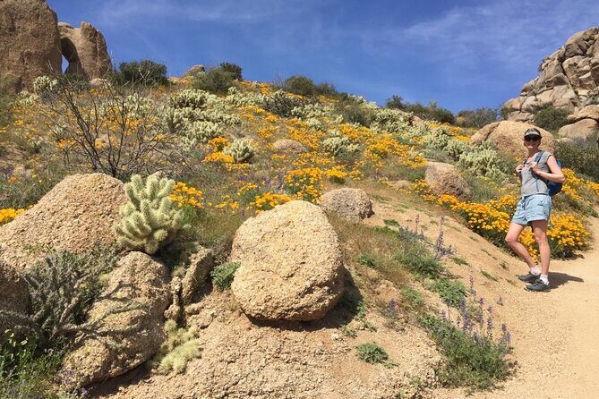 Scottsdale Desert Classic Guided Hiking Adventure - FAQs
