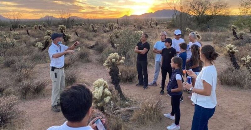 Scottsdale: McDowell Sonoran Preserve Hiking Tour - Key Points