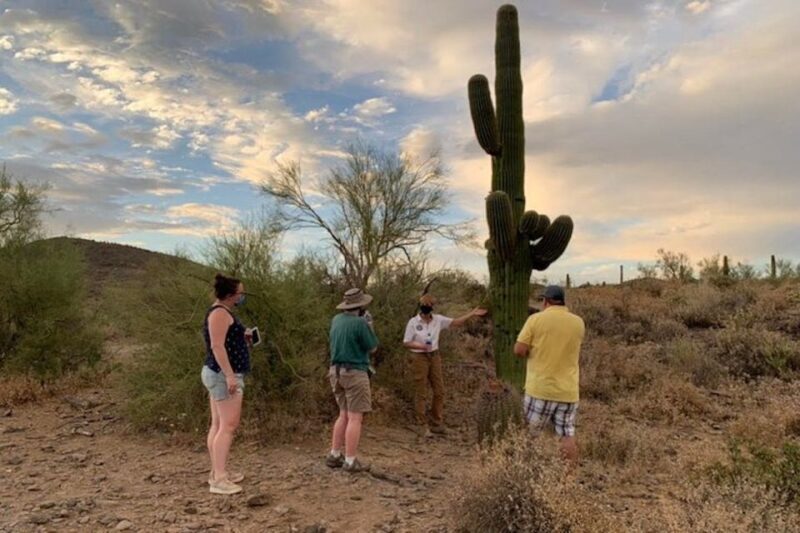 Scottsdale: McDowell Sonoran Preserve Hiking Tour - In-Depth: The Itinerary and Experience Breakdown