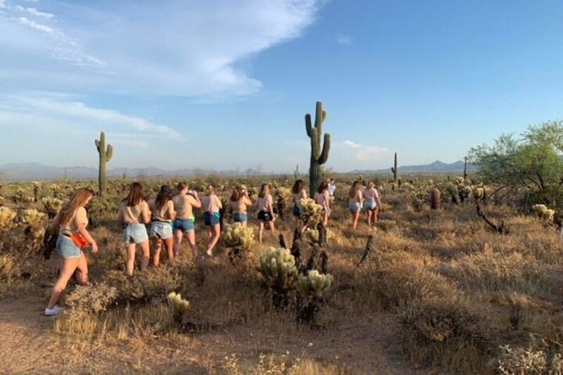 Scottsdale: McDowell Sonoran Preserve Hiking Tour - Final Thoughts: Who Will Love This Experience?