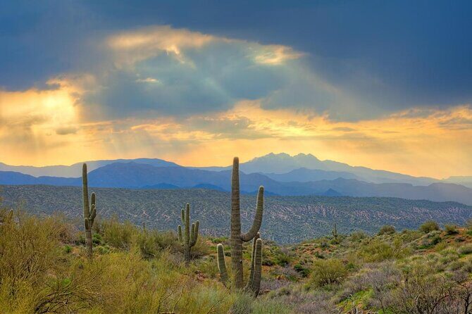 Scottsdale & Phoenix 2 Hour Desert Guided ATV Tour - Key Points