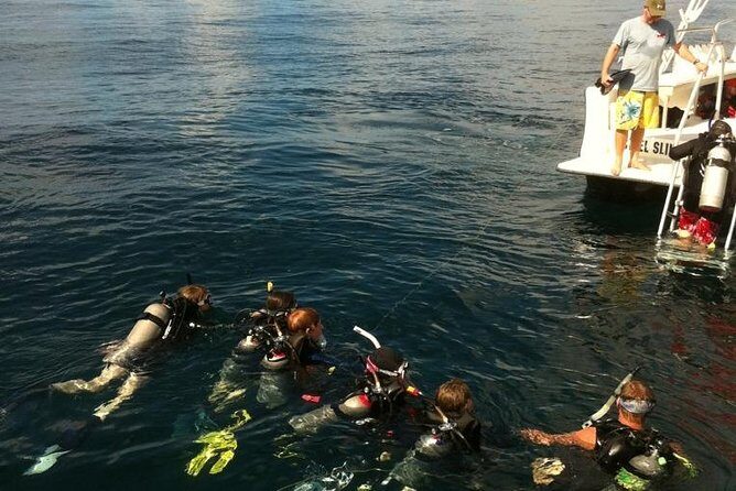 Scuba Certification - Analyzing the Cost and Value