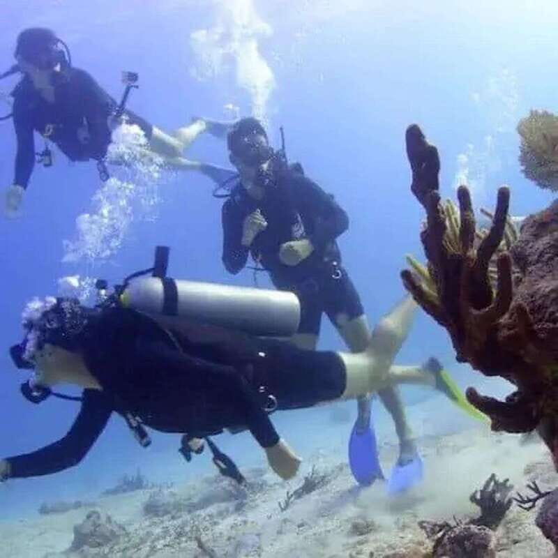 Scuba Cozumel: Experience from Boat, for Certified Divers - Authentic Underwater Sights and Highlights