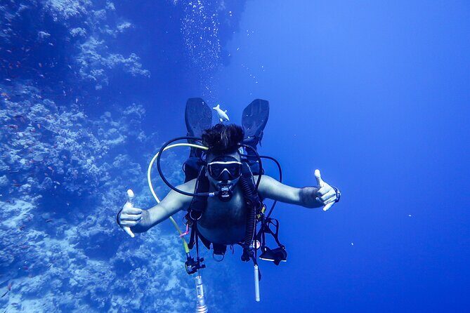 Scuba Dive and Explore Aqaba's Red Sea with a Private Guide - Who Will Enjoy This Tour?