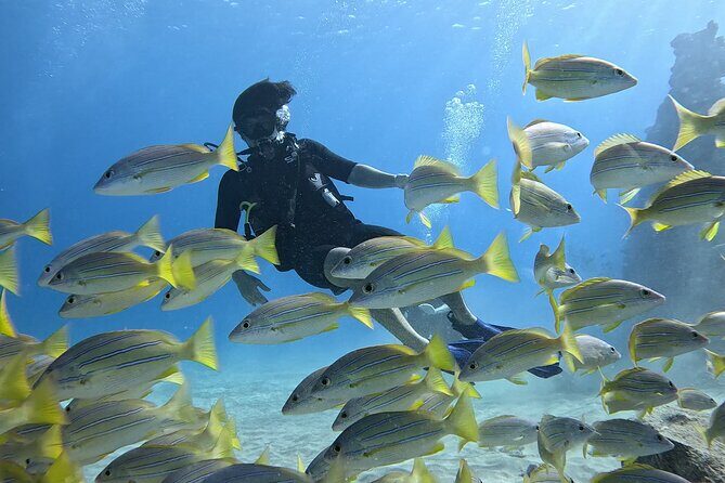 SCUBA Dive at Electric Beach with Photos -No Certification Needed - Introduction