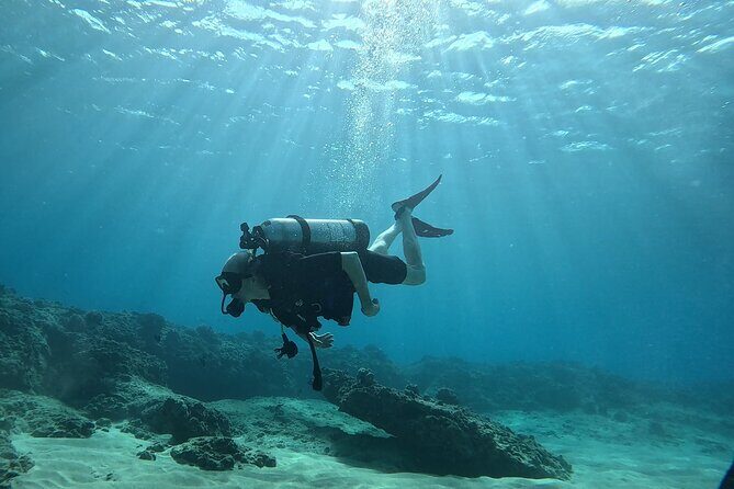 SCUBA Dive at Electric Beach with Photos -No Certification Needed - The Itinerary: What You Can Expect