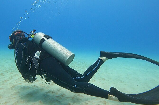 SCUBA Dive at Electric Beach with Photos -No Certification Needed - Authentic Experiences and What Travelers Say