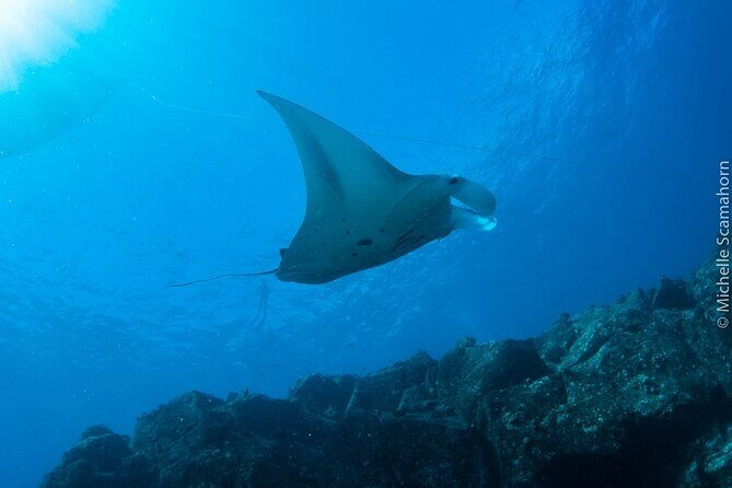 Scuba Dive at Niihau (Forbidden island) - Key Points