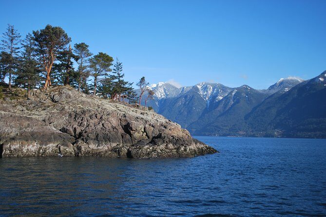 Scuba Dive Boat Charter in Vancouver (Certified Divers Only!) - Analyzing the Value: Is It Worth It?