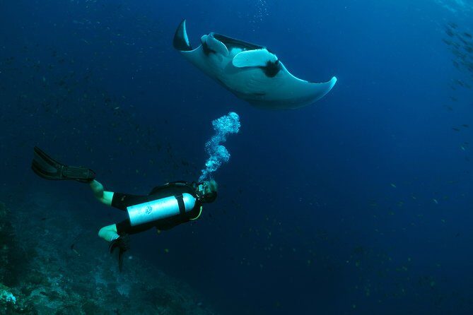 Scuba Dive in Koh Lanta, Thailand - An In-Depth Look at the Koh Lanta Dive Tour