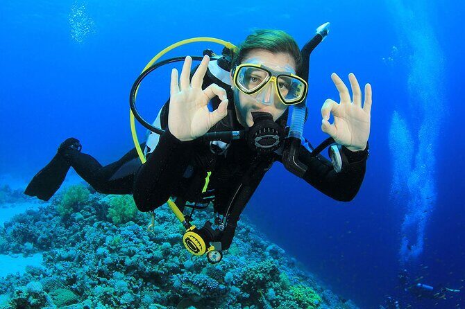 Scuba Dive in the best reefs in the Riviera Maya 2 tanks - Final Thought