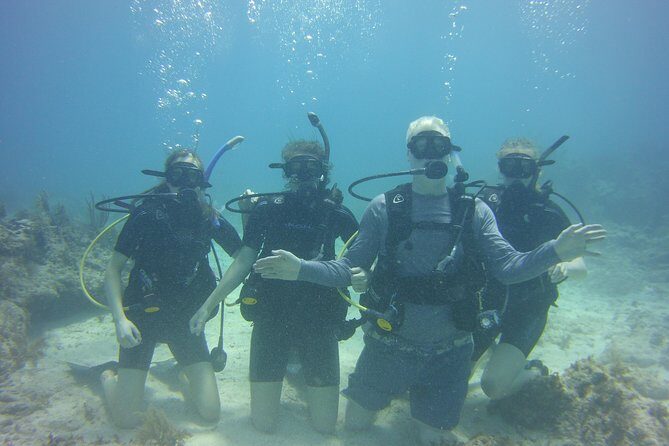 SCUBA Dive Key Largo Reef (min 6 divers) - An Inside Look at the Key Largo Reef Experience