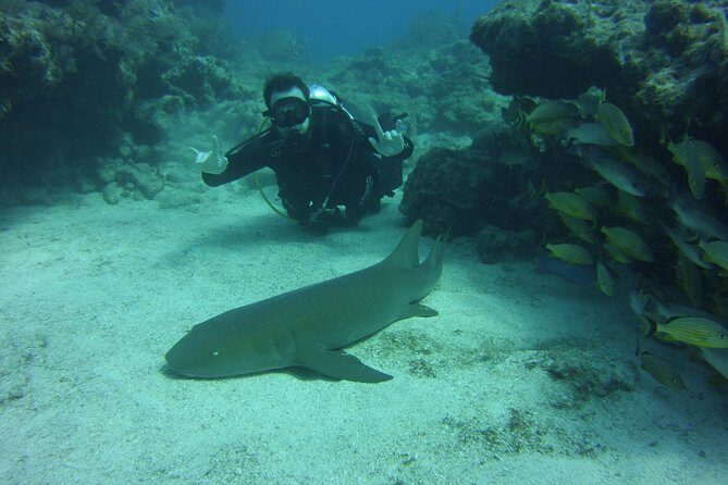 SCUBA Dive Key Largo Reef (min 6 divers) - Practical Considerations