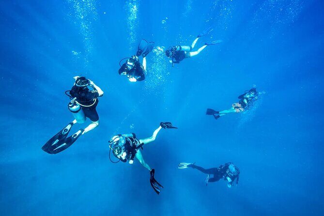 Scuba dive with sharing transfers - The Sum Up