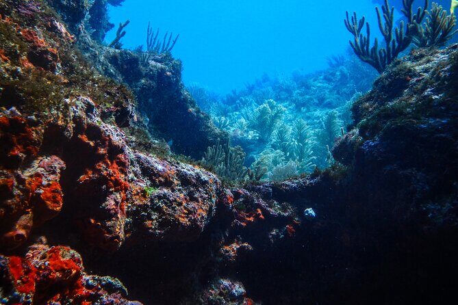 Scuba Diver Certification Course - Practical Details and Logistics