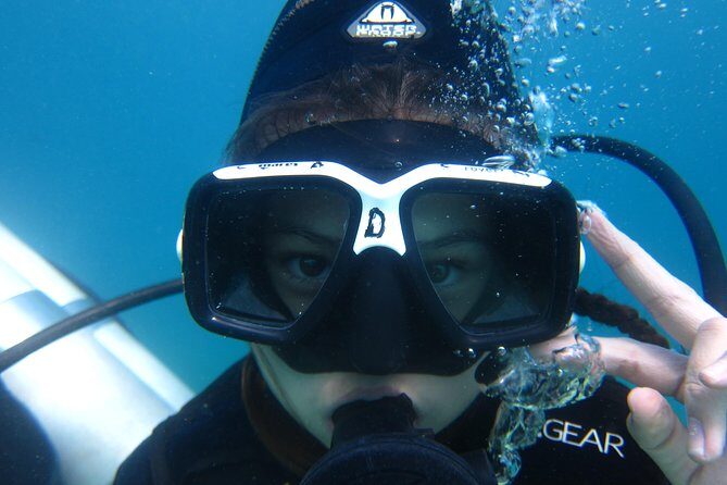 Scuba Diver Course (PADI) - Key Points