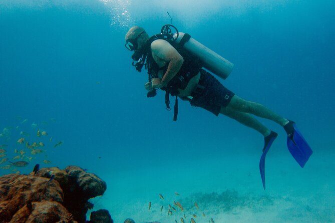 Scuba Diving (1st time) in Cancun Beginner's WELCOMED! - An Overview of the Experience