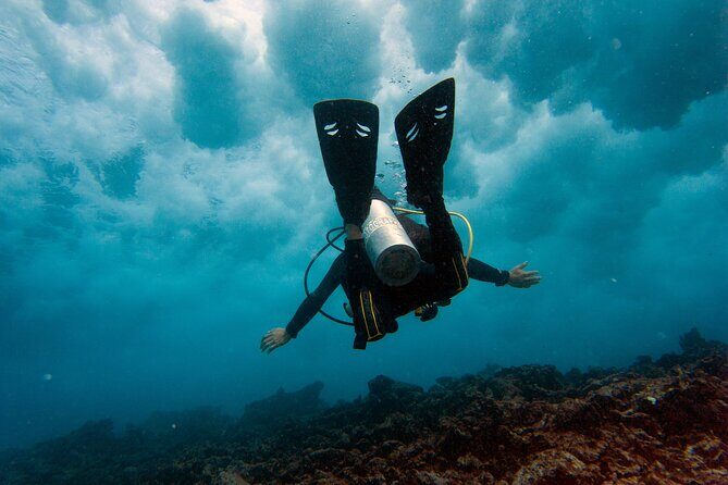 Scuba Diving (1st time) in Cancun Beginner's WELCOMED! - Detailed Breakdown of the Itinerary
