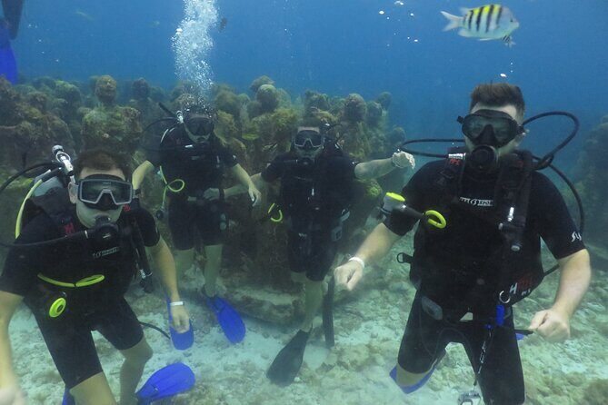 Scuba Diving (1st time) in Cancun Beginner's WELCOMED! - Who Will Love This Experience?