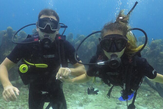 Scuba Diving (1st time) in Cancun Beginner's WELCOMED! - Final Thoughts