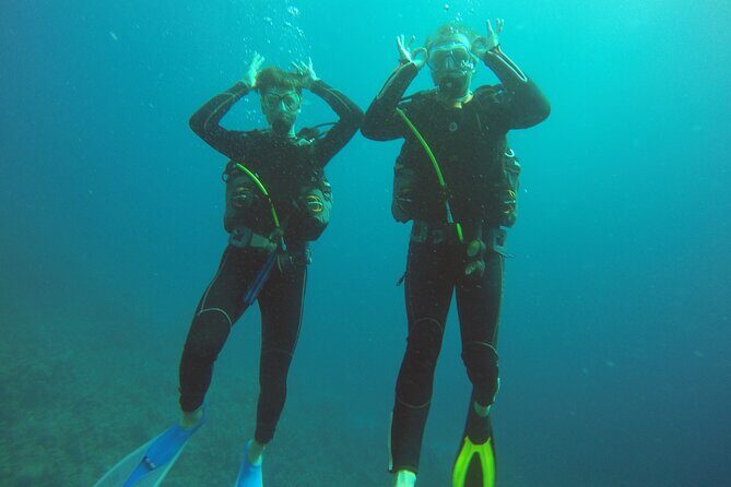 Scuba Diving 2 Dives from the Boat - Discovering the Red Sea’s Marine Treasures