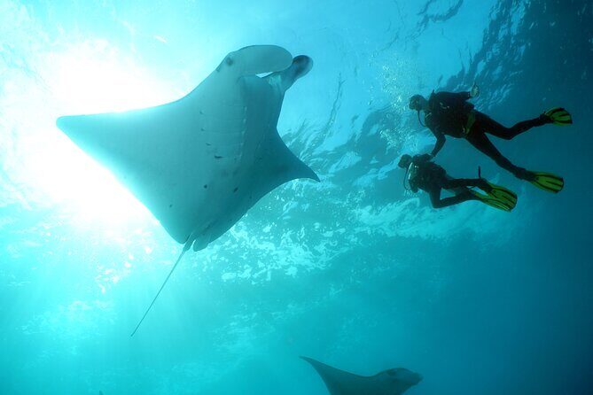 Scuba Diving 3 dives including Manta Rays at Nusa Penida - The Itinerary and Why It Works