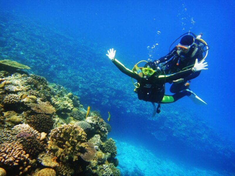 Scuba Diving 3 Islands Nha Trang Tour - Afternoon at Coral Bay 2 and Beach Relaxation