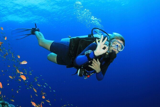 Scuba Diving Activity in Dubai with Hotel Pickup - An Honest Look at the Scuba Experience in Dubai