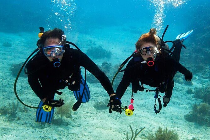 Scuba Diving Activity in Dubai with Hotel Pickup - FAQs