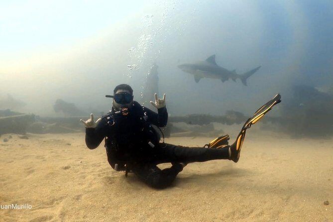 Scuba Diving adventure Cabo pulmo - The Sum Up