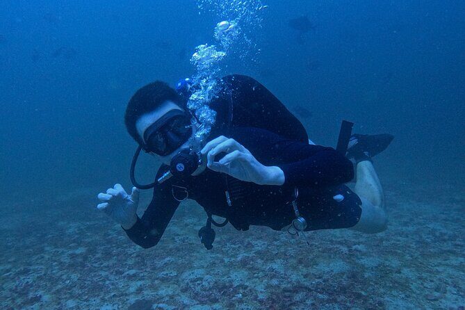 Scuba Diving Adventure in Musandam, Oman - The Sum Up