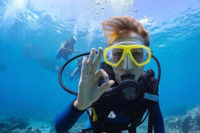 Scuba Diving at Catalina Island - 2 tank - for Certified Divers - Key Points