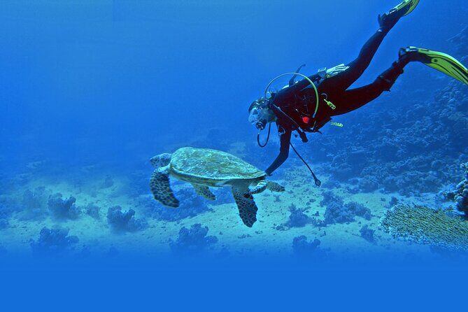 Scuba Diving at Jumeirah Dubai with Private Transfers - What to Expect from the Tour