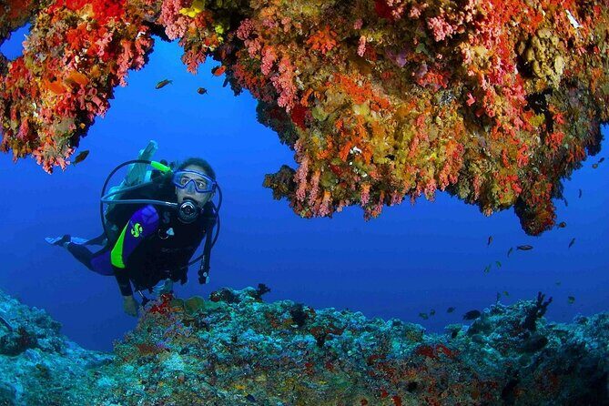 Scuba Diving at Jumeirah Dubai with Private Transfers - Practical Details and Group Dynamics