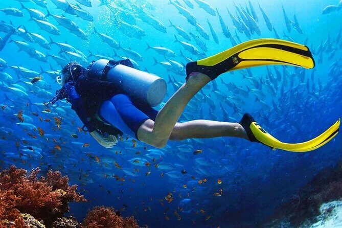Scuba Diving at Jumeirah Dubai with Private Transfers - Who Should Consider This Tour?