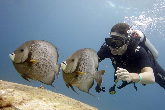Scuba diving at MUSA the underwater museum for certified divers - Final Thoughts