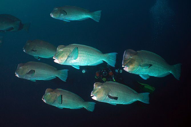 Scuba Diving at Tulamben USAT Liberty Wreck - Key Points