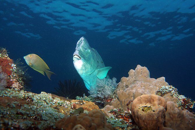 Scuba Diving at Tulamben USAT Liberty Wreck - Practical Details for Your Planning