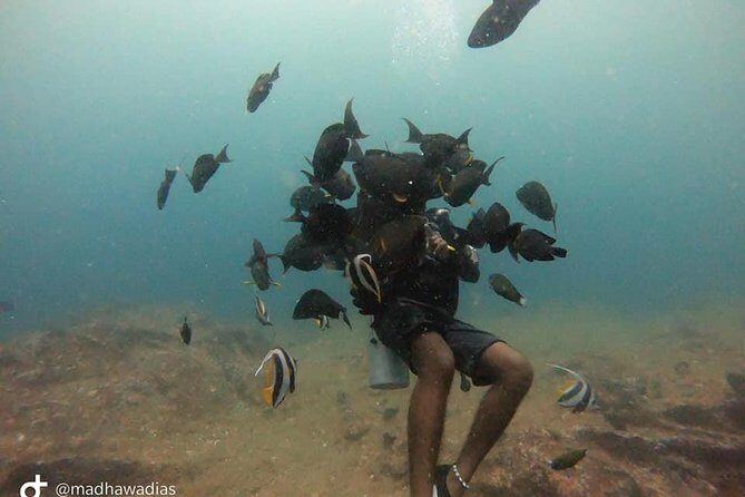 Scuba Diving at Unawatuna - What You Need to Know About the Experience