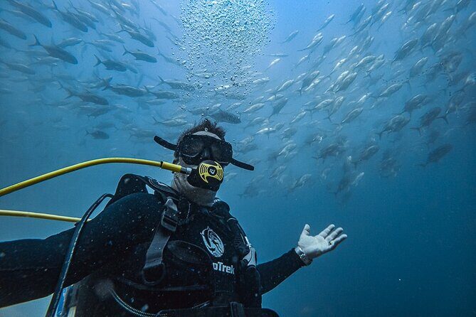 Scuba Diving - An Honest Look at the Cabo San Lucas Scuba Tour