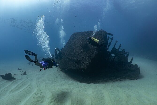 Scuba Diving - Who Should Book This Tour?