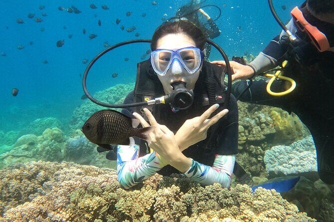 Scuba Diving Experience in Nha Trang Bay - Highlights from Past Travelers