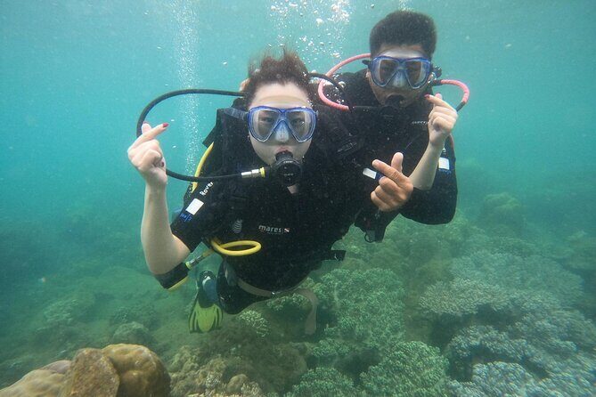 Scuba Diving Experience in Nha Trang Bay - The Sum Up: Who Is This Tour Best For?