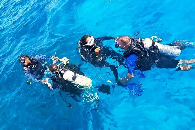 Scuba Diving Experience with Lunch & Transfer from Hurghada - Introduction: What Makes This Tour Stand Out?