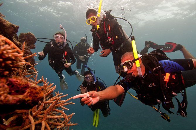 Scuba Diving For Beginners - Introduction