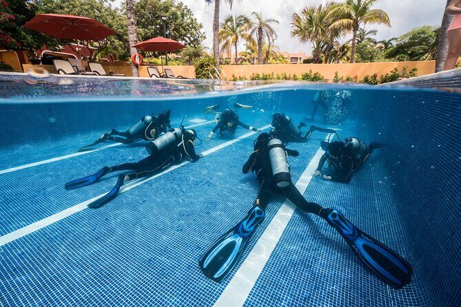 Scuba Diving for Beginners Playa del Carmen or Tulum - The Itinerary: What to Expect