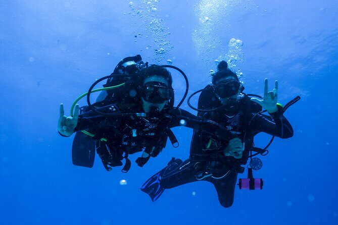 Scuba Diving for Beginners Playa del Carmen or Tulum - The Experience: What You’ll Feel and See